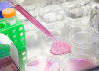 In vitro z komórką dawczyni: wskazania, przebieg i cena procedury