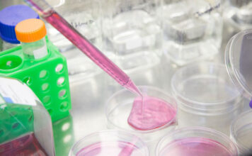In vitro z komórką dawczyni: wskazania, przebieg i cena procedury