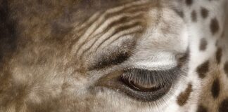 Jak usunąć plamy na dłoniach po samoopalaczu?