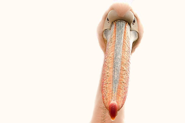 Jak pobudzić łożysko paznokcia w domu? Jak pobudzić łożysko paznokcia w domu?