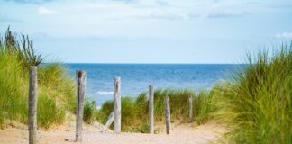 Jak modelować cienkie włosy?