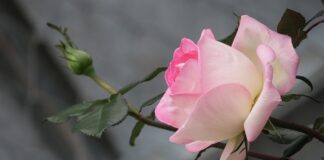 Jak pozbyć się żółtego odcienia?