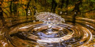 Czy Liquid można zastąpić cleanerem?