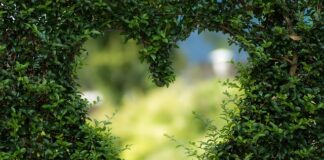 Jak skorygować kształt twarzy makijażem?